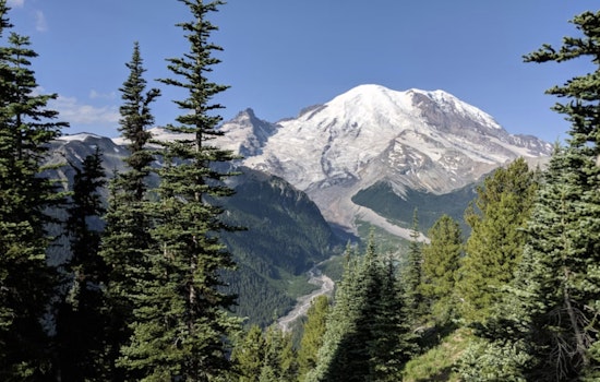 Mount Rainier Nixes Timed Tickets, Braces For Wild Summer Crowds