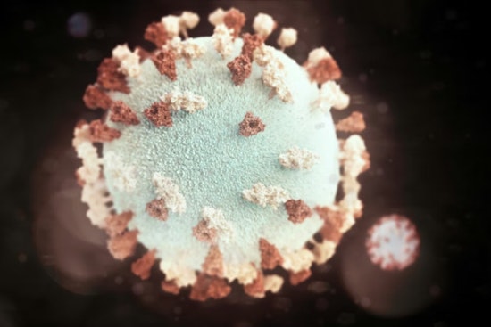 Mumps Scare Rattles Berkeley High, Parents Put On Alert