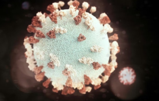 Mumps Scare Rattles Berkeley High, Parents Put On Alert