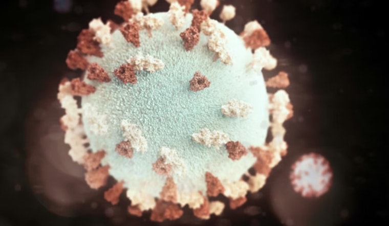 Mumps Scare Rattles Berkeley High, Parents Put On Alert