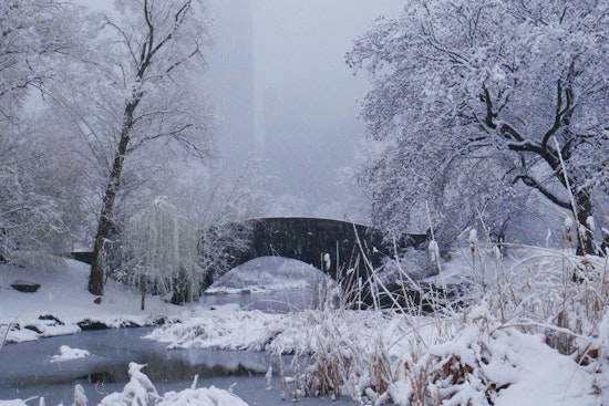 Mystery Body Found In Snowy Hollow Of Central Park