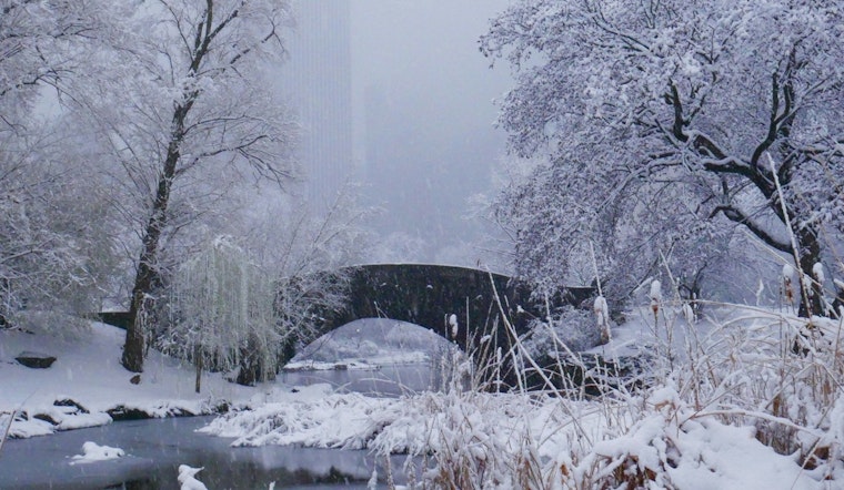 Mystery Body Found In Snowy Hollow Of Central Park