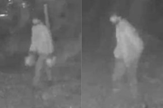 Mystery Man With Gas Cans Sought In Jerome Township House Fire