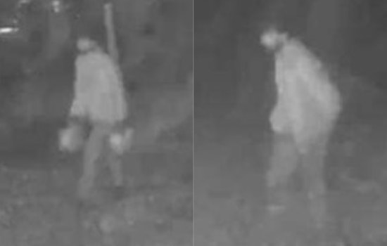 Mystery Man With Gas Cans Sought In Jerome Township House Fire