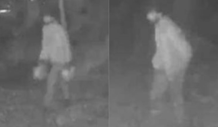Mystery Man With Gas Cans Sought In Jerome Township House Fire
