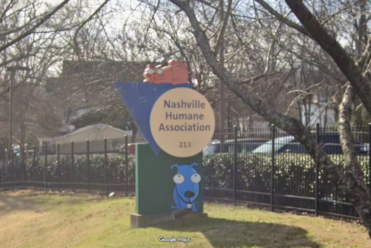 Nashville Shelter Rocked As Pets Dumped At Gate Twice In A Day