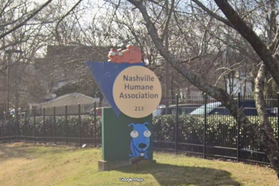 Nashville Shelter Rocked As Pets Dumped At Gate Twice In A Day