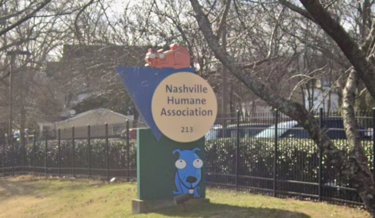 Nashville Shelter Rocked As Pets Dumped At Gate Twice In A Day