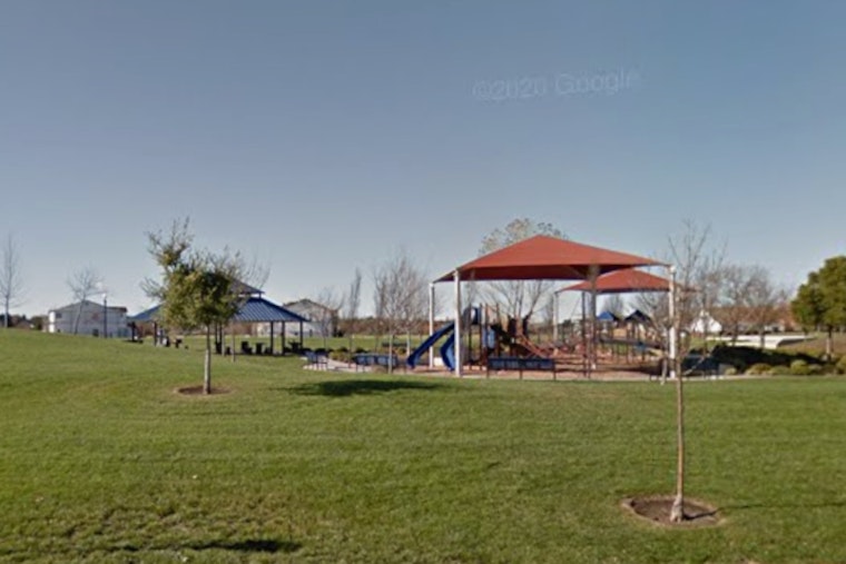 Natomas Grieves in Green With 41 Trees for Lives Lost to Violence