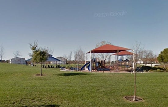 Natomas Grieves in Green With 41 Trees for Lives Lost to Violence