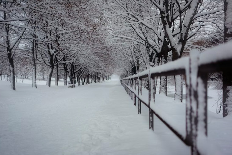Nearly 800 More Fines Issued in NYC for Unshoveled Sidewalks After Record Snowstorm