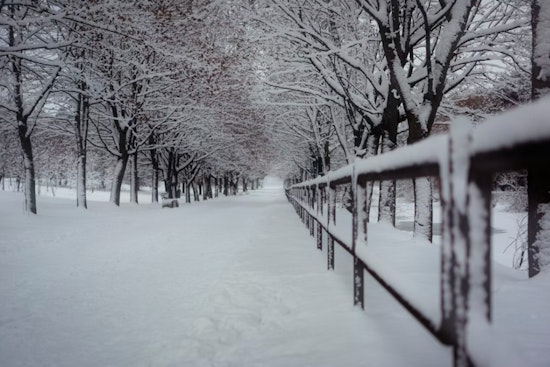 Nearly 800 More Fines Issued in NYC for Unshoveled Sidewalks After Record Snowstorm