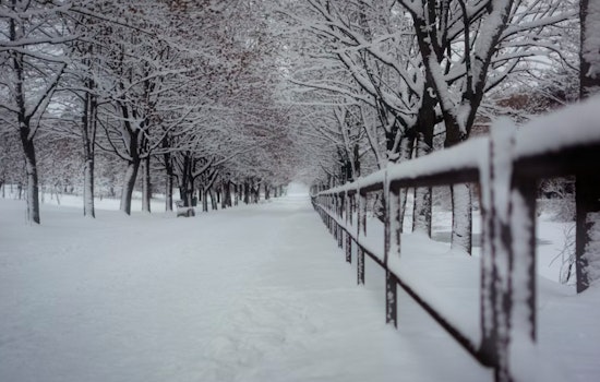 Nearly 800 More Fines Issued in NYC for Unshoveled Sidewalks After Record Snowstorm