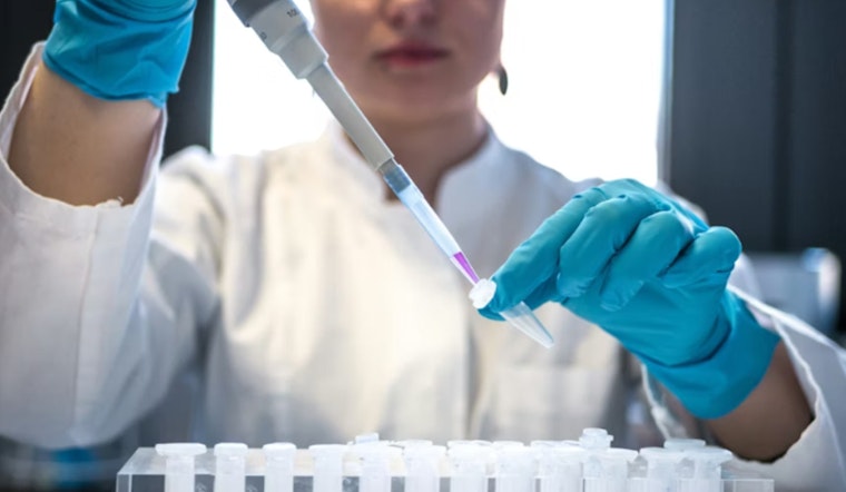 Nevada Ballot Gamble Aims To Turn Silver State Into Experimental Drug Hotbed