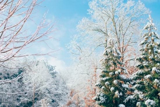 New Orleans Faces Severe Cold Snap as NWS Urges Precautions Against Frostbite and Hypothermia
