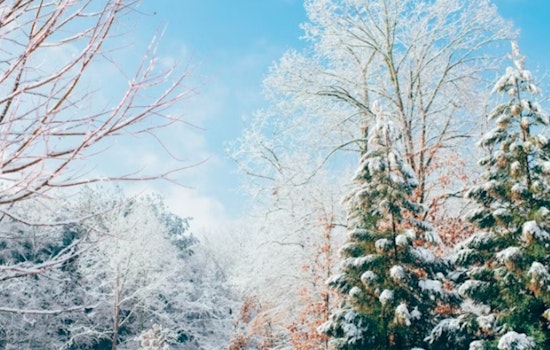 New Orleans Faces Severe Cold Snap as NWS Urges Precautions Against Frostbite and Hypothermia