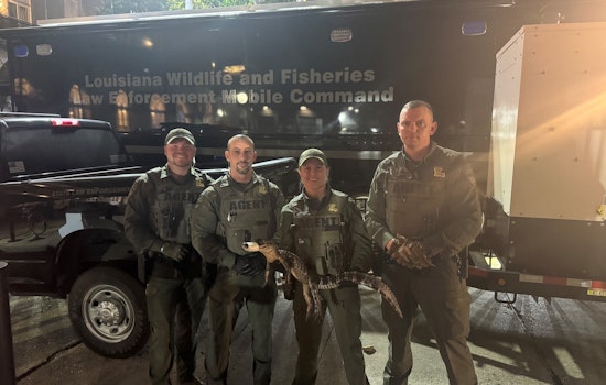 New Orleans Man Charged with Illegally Possessing Alligator, Firearm, and Marijuana on Bourbon Street