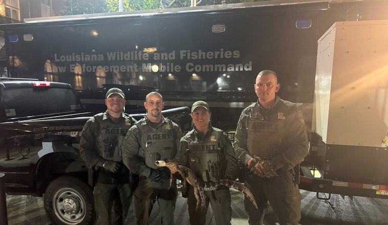 New Orleans Man Charged with Illegally Possessing Alligator, Firearm, and Marijuana on Bourbon Street