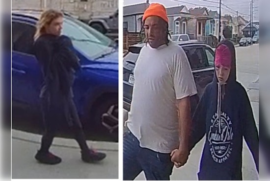 New Orleans Police Seek Public's Help to Identify Suspects in Leonidas Street Package Theft