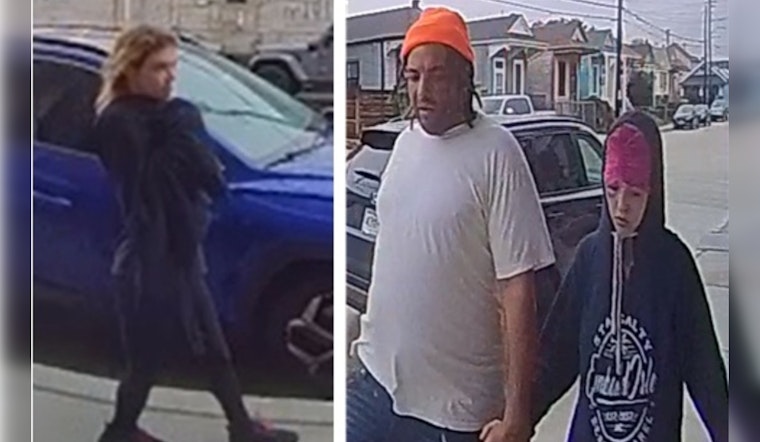 New Orleans Police Seek Public's Help to Identify Suspects in Leonidas Street Package Theft