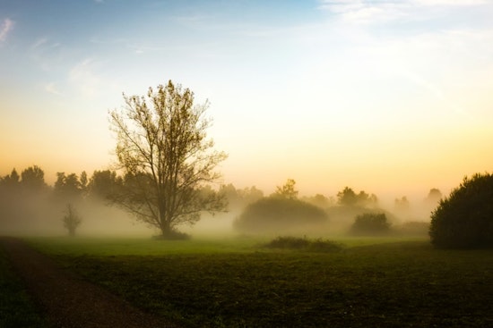 Fog, Rumbles and a Sticky Sunrise Greet New Orleans Friday