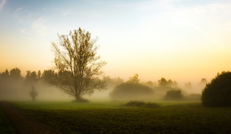Fog, Rumbles and a Sticky Sunrise Greet New Orleans Friday