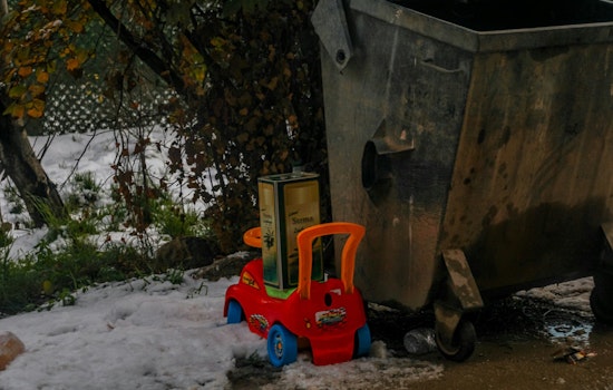 New York City Grapples with Delayed Trash Collection Post-Snowstorm as DSNY Tackles Cleanup Challenges
