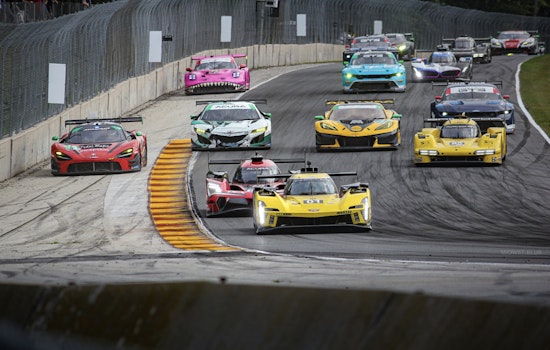 NY Racing Investigator Quits Amid Furor Over Doping Evidence