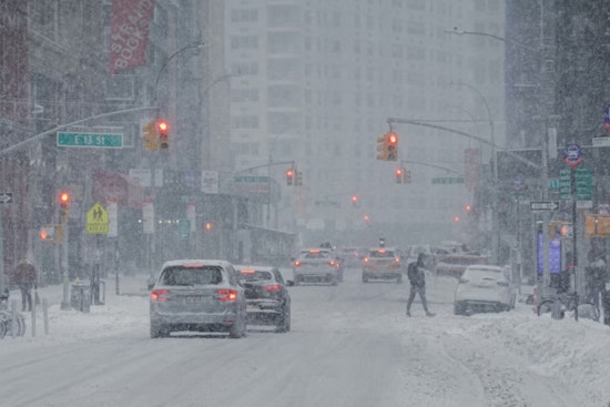 NYC Snow Piles Found Contaminated With Lead and Fecal Bacteria