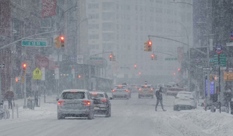 NYC Snow Piles Found Contaminated With Lead and Fecal Bacteria