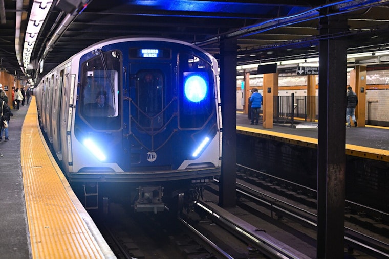 NYC Subway Pet Policy Scrutiny Intensifies After Chow Chow's Electrocution at Bowling Green Station