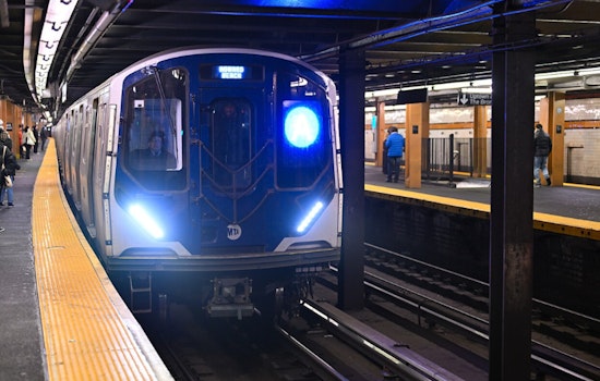 NYC Subway Pet Policy Scrutiny Intensifies After Chow Chow's Electrocution at Bowling Green Station