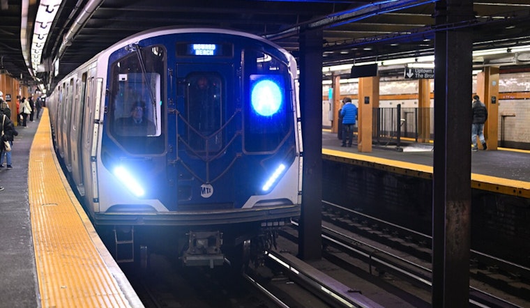 NYC Subway Pet Policy Scrutiny Intensifies After Chow Chow's Electrocution at Bowling Green Station