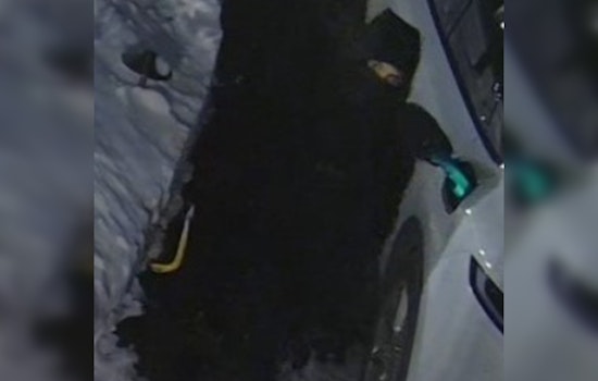 NYPD Hunts for Trio Suspected in Staten Island Burglary Spree