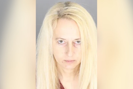 Oakland County Woman Sentenced for Animal Neglect Following Rescue of 37 Pets from Inhumane Conditions