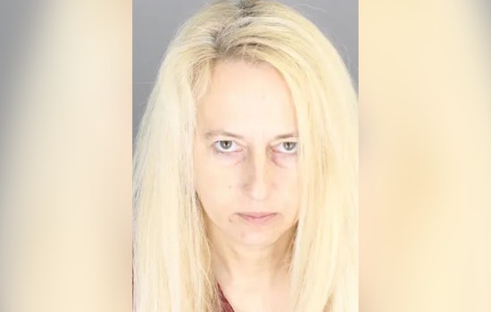 Oakland County Woman Sentenced for Animal Neglect Following Rescue of 37 Pets from Inhumane Conditions