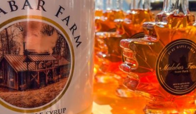 Ohio State Parks Beckon Visitors for Maple Syrup Festivals This March