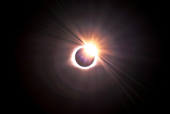Ohio State University Study Reveals Animal Behavior Shifts During Total Solar Eclipse in Midwest