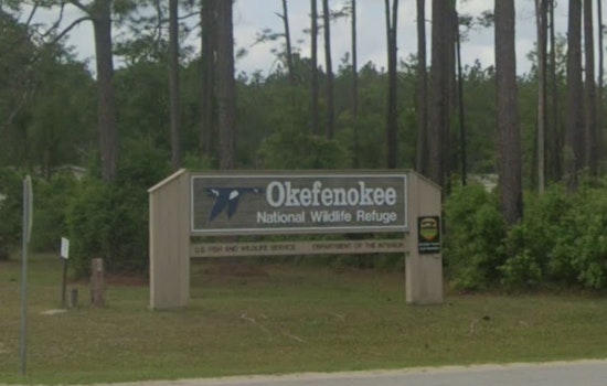 Okefenokee Swamp Braces For High-Stakes World Heritage Verdict In July
