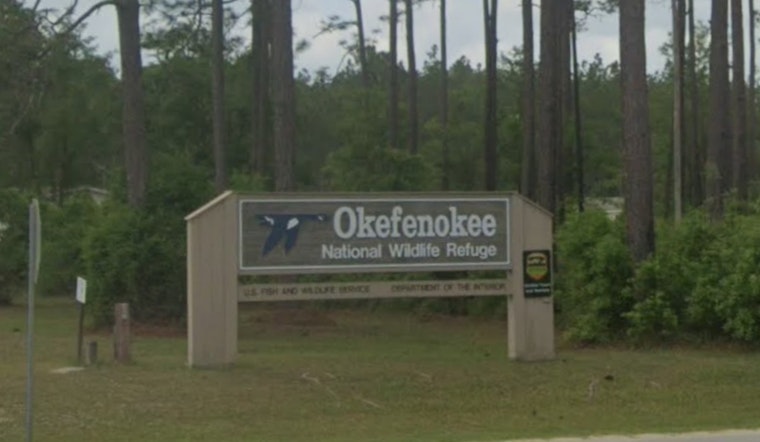 Okefenokee Swamp Braces For High-Stakes World Heritage Verdict In July