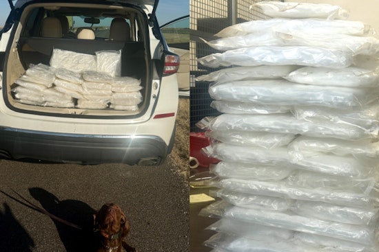 Oklahoma Drug Dog Charlie Nabs 155 Pounds of Meth Before It Hits the Streets