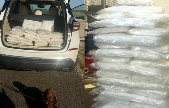 Oklahoma Drug Dog Charlie Nabs 155 Pounds of Meth Before It Hits the Streets