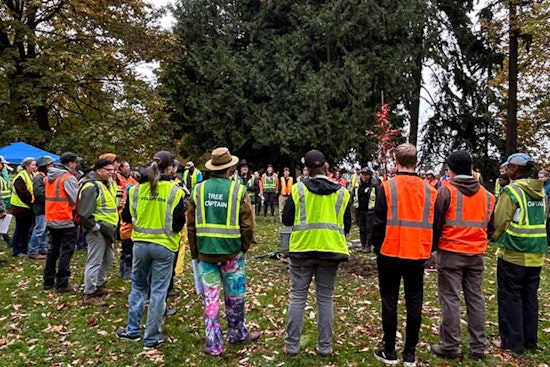 Olympia Budget Chainsaw Puts Tacoma Tree-Grant Lifeline on the Block