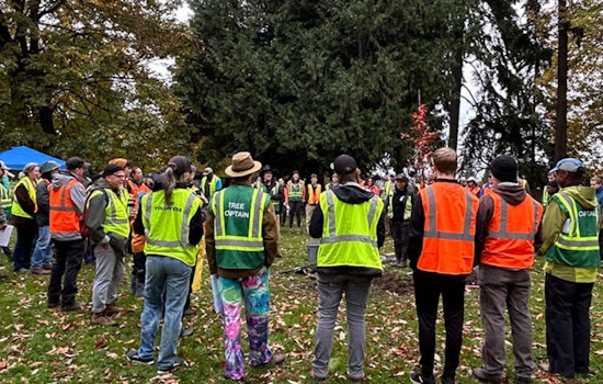 Olympia Budget Chainsaw Puts Tacoma Tree-Grant Lifeline on the Block