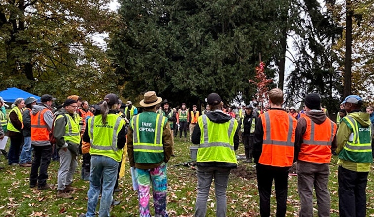Olympia Budget Chainsaw Puts Tacoma Tree-Grant Lifeline on the Block
