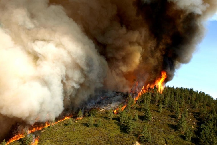 Olympia Moves To Torch Mortgage Tax Break To Refill Wildfire War Chest