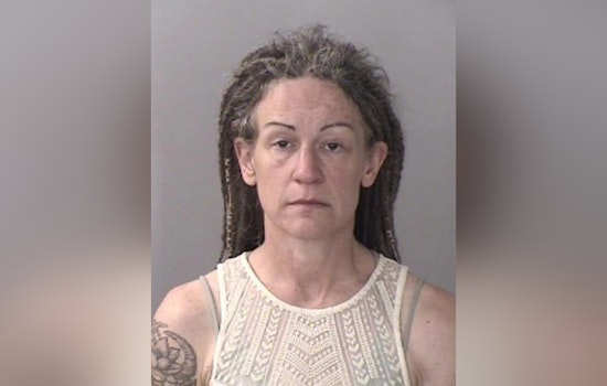 Oregon Mom’s Motorhome Getaway Ends In Chico Kidnap Guilty Plea