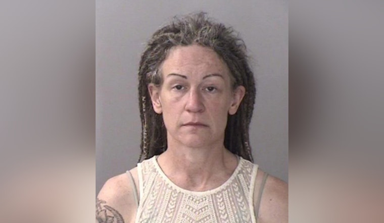 Oregon Mom’s Motorhome Getaway Ends In Chico Kidnap Guilty Plea