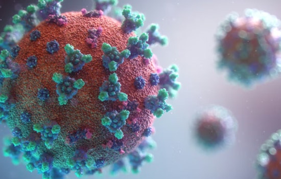 Oregon Sewers Sound Quiet Measles Alarm, Health Officials Warn