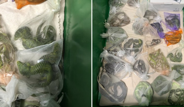 Sentencing Delayed for Oxnard Man in $739k Wildlife Smuggling Case